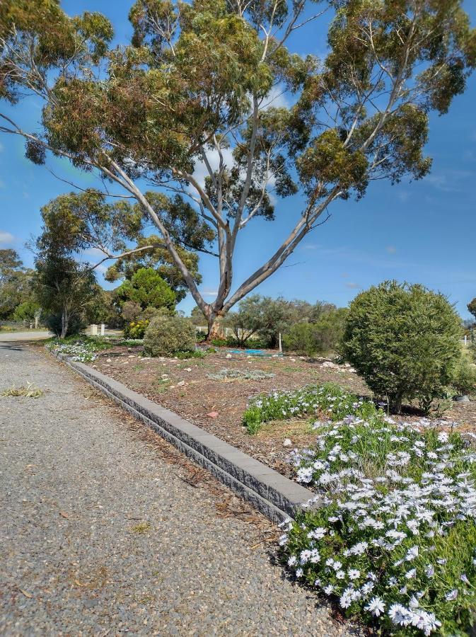 Murray Bridge Motor Inn Luaran gambar